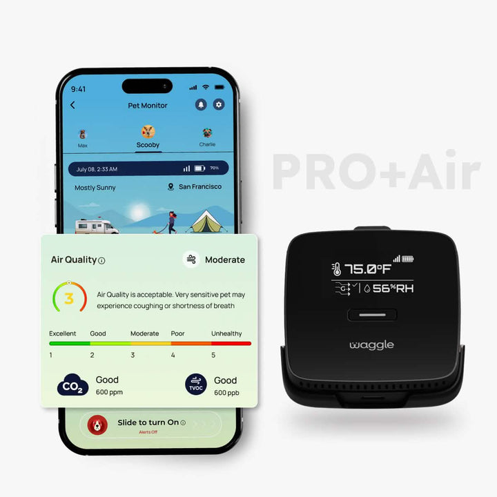 Waggle Pet Monitor