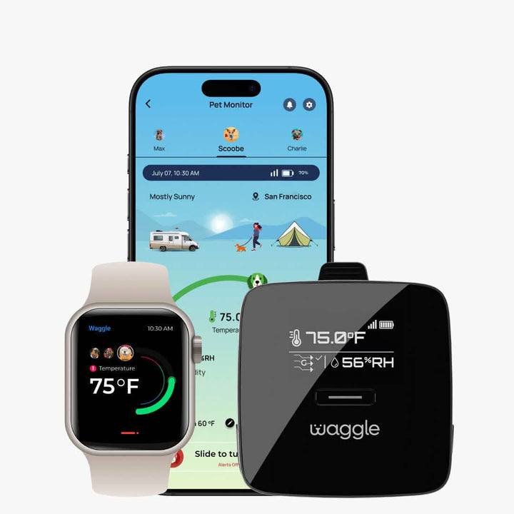 Waggle Pet Monitor