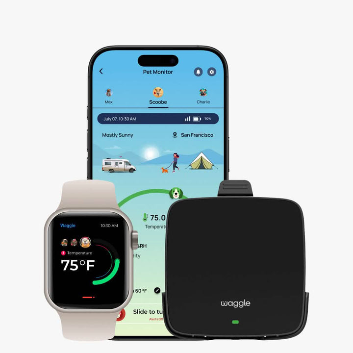 Waggle Pet Monitor