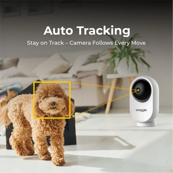 Waggle Pet Cameras