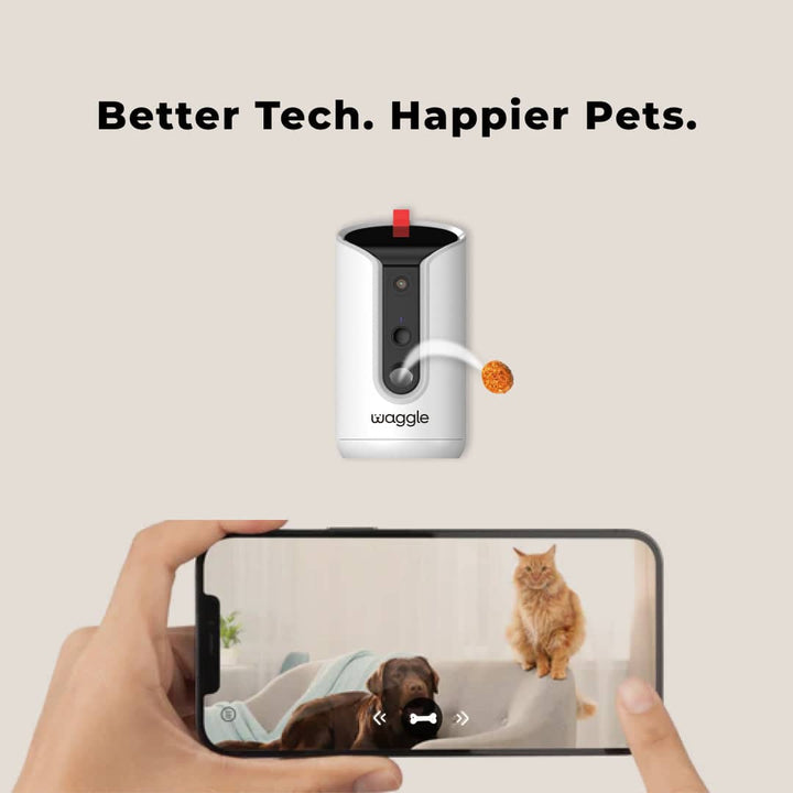 Waggle Pet Cameras